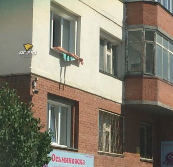 Жители Новосибирска жалуются: голая женщина загорает в окне второго этажа