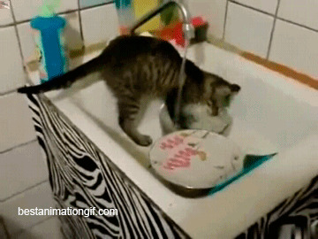 Можно конечно научить кота мыть посуду.