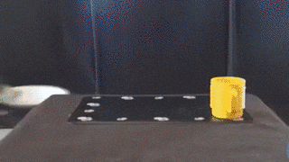 Лучший помощник