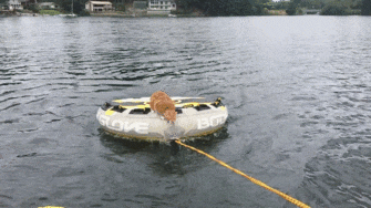 Когда не было сил больше ждать