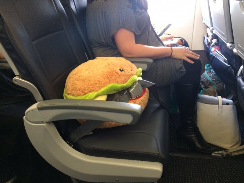 Пассажир в самолете