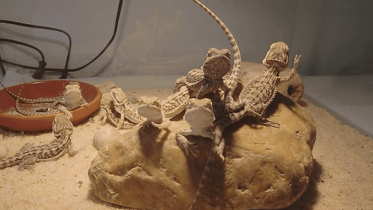 Привет вам всем