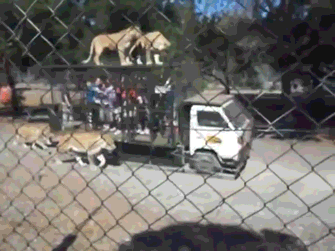 Подборка автомобильных гифок