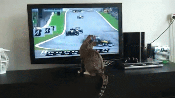 Подборка автомобильных гифок