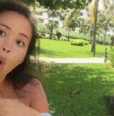 Довела павлина