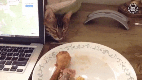 Разве можно удержаться от такого соблазна?