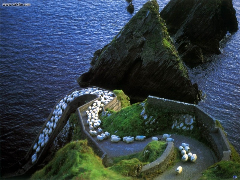 Удивительная Ирландия