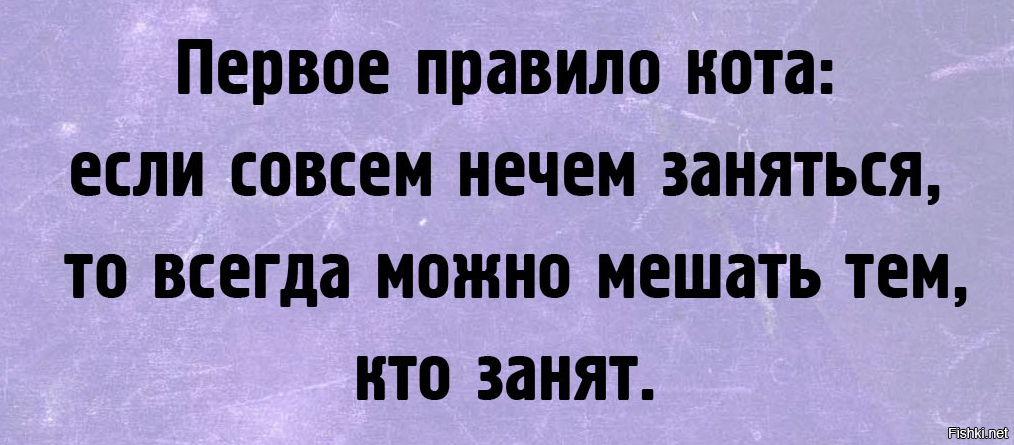 Нечем заняться. Когда нечем заняться. Нечем заняться прикол. Когда нечем заняться цитаты.