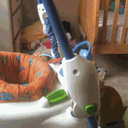 "Вот тут-то я и устроюсь"