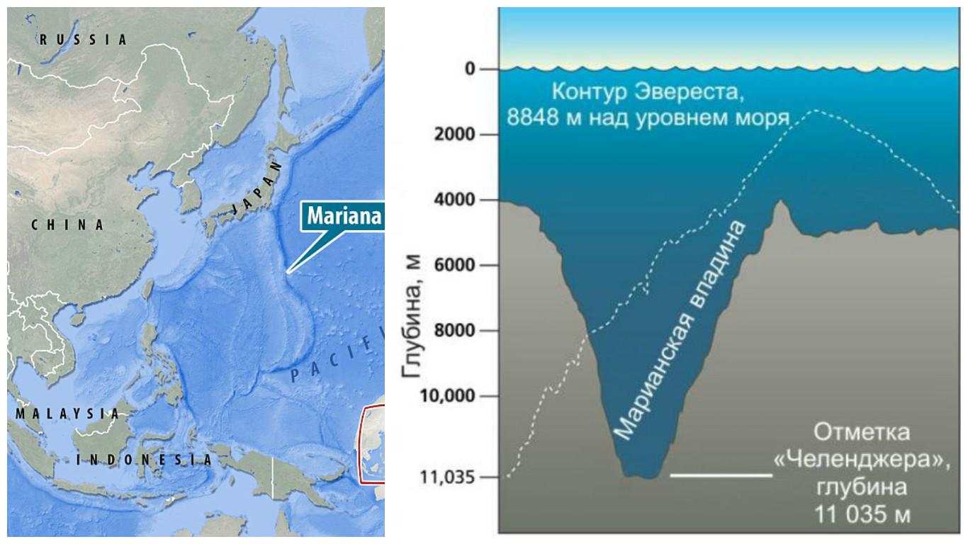 В каком океане больше морей. Тихий океан глубина Марианская впадина. Бездна Челленджера в Марианской впадине. Марианская впадина глубина 11022. Тихий океан Марианский желоб.