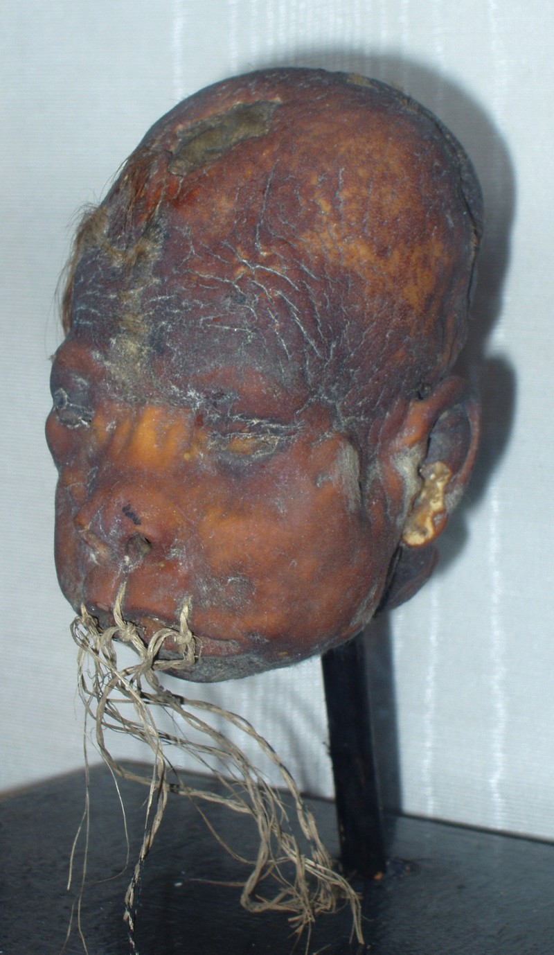 Тсантса: сушеные головы индейцев и галлюциногены