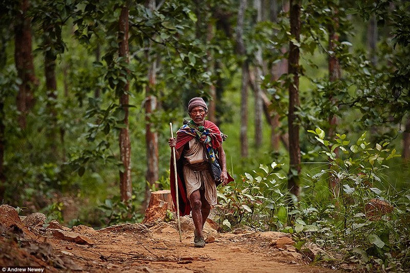 Рауте: кочевой народ Непала, выживающий за счёт охоты на обезьян