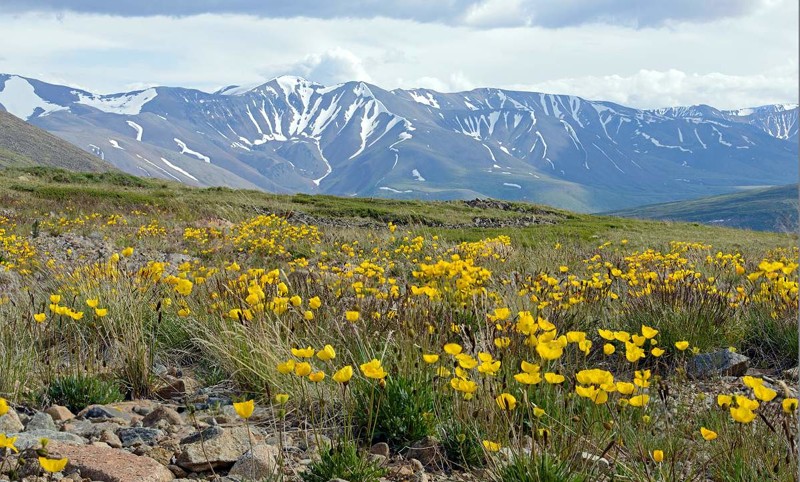 Плоскогорье Укок