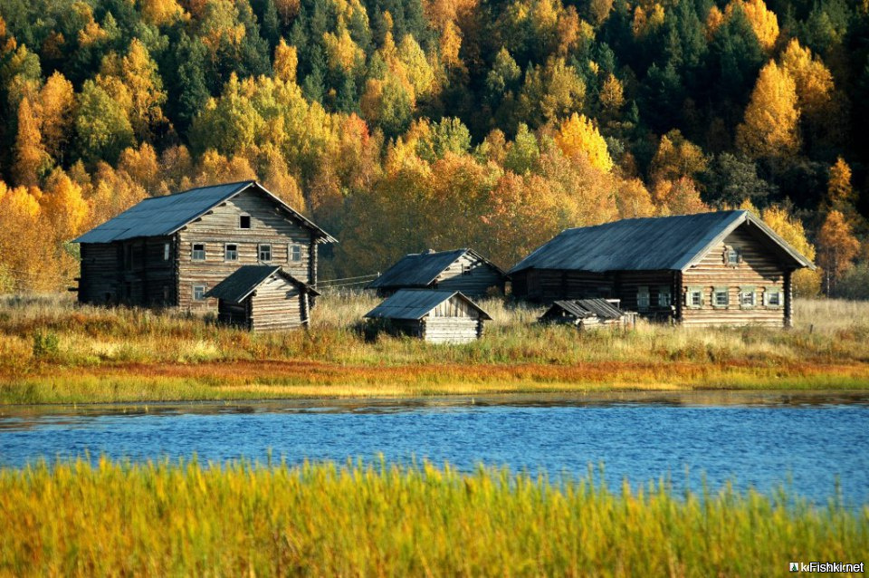 Кенозерский парк осень