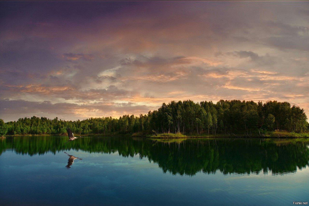 Рощино приморский край фото