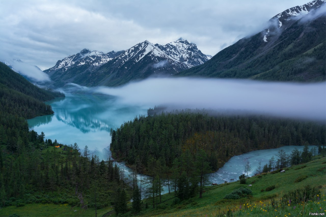 Кучерлинское озеро алтай фото