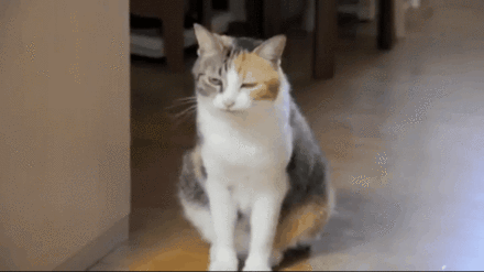 На утро после вечеринки