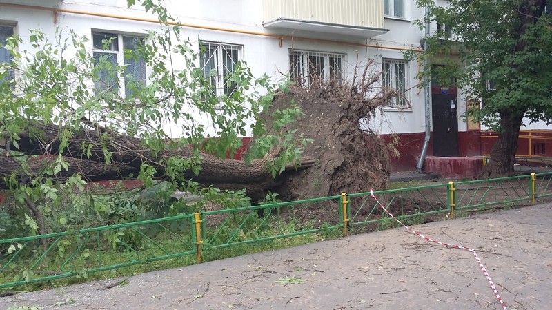 Последствия грозы в районе Богородское