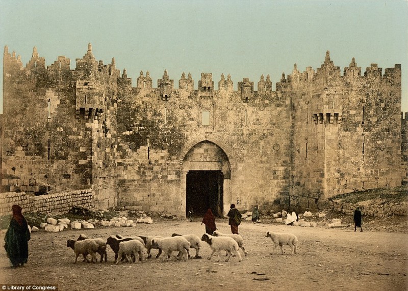 Иерусалимский базар, рыбная ловля в Галилейском море и бедуины: как выглядел Ближний Восток в 1890-х гг.