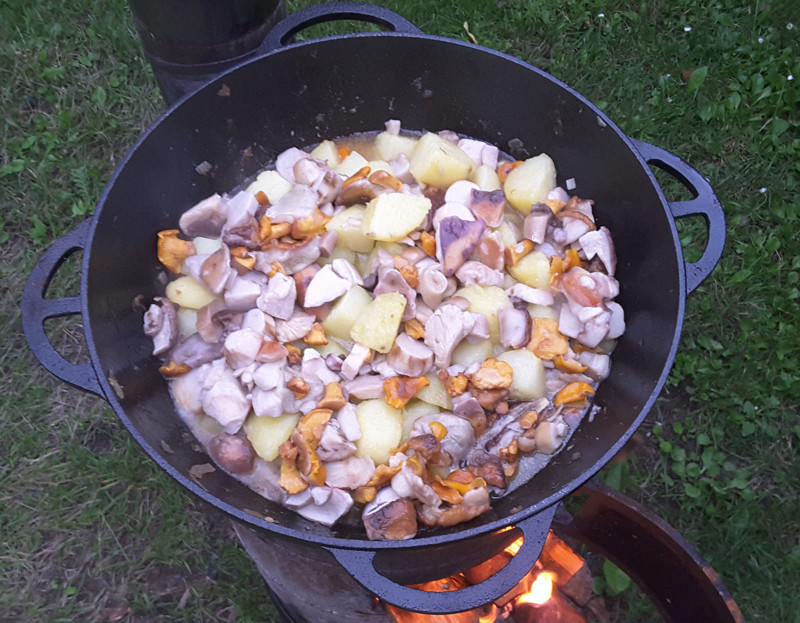 Тушеная картошка с грибами и мясом в казане