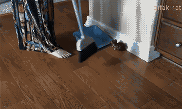 Главные источники пыли и грязи в квартире