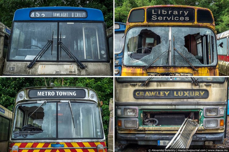 Совершенно не разбираюсь в моделях и типах ирландских и английских автобусов. Но они тут все разные, кажется, двух одинаковых не найти, если не считать типовых машин в самом начале “выставки”.