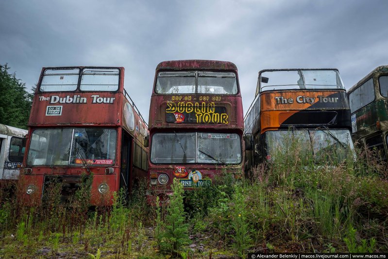 Прекрасные двухэтажные автобусы, возившие туристов по Дублину, Корку и другим городам Ирландии.