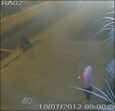 Прикольные и смешные гифки! 