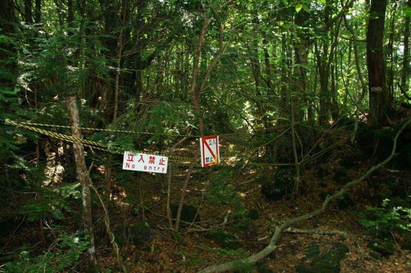 Лес самоубийц, Япония