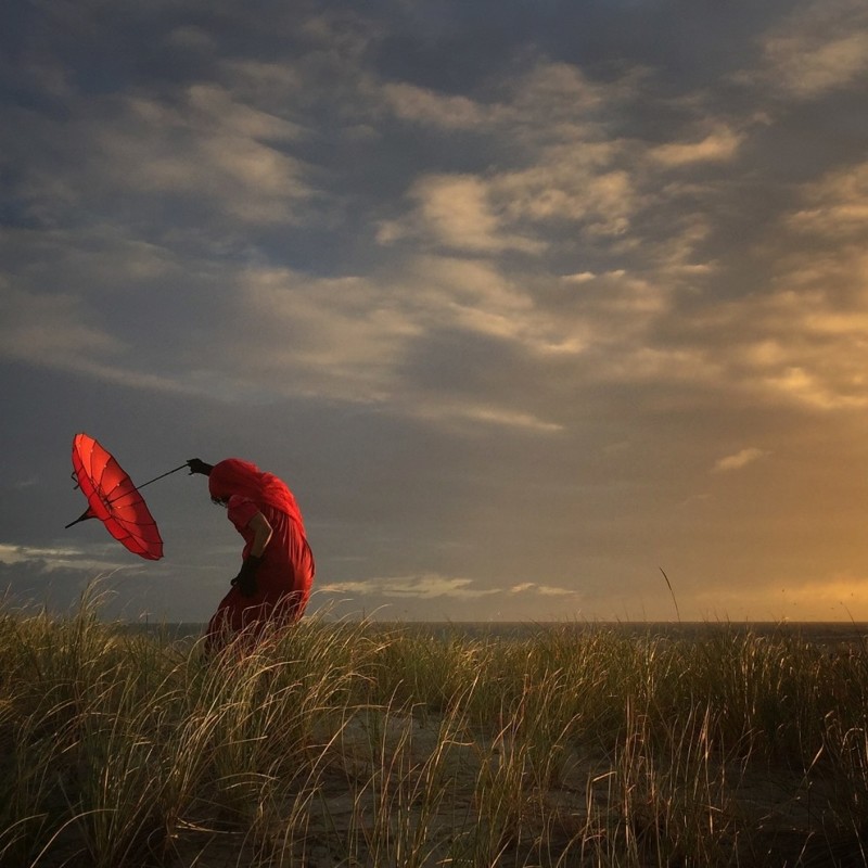 Фотограф года, 2 место - "Клонящаяся на ветру", Робин Робертис, Калифорния, США