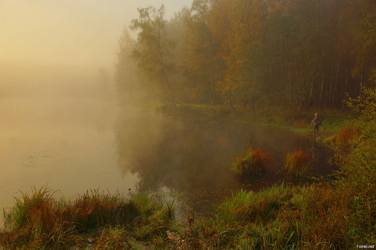 петр косых фотографии