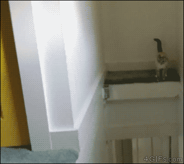 Прикольные и смешные гифки! Прикольные и смешные гифки!