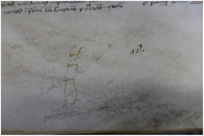 В древней рукописи обнаружили странные рисунки