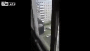 Ах эта дикая, дикая Россия