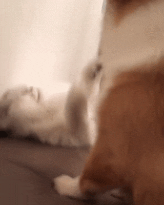 "У меня сегодня голова болит"