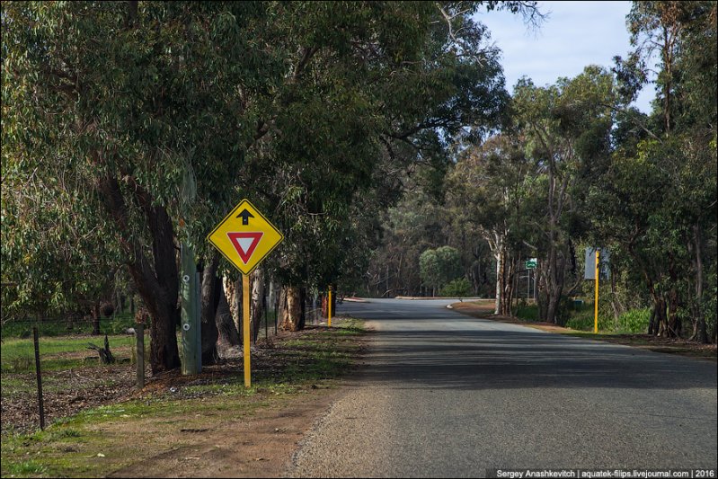 В Австралии очень много предупреждающих знаков. В смысле, которые предупреждают, что впереди будет вот этот знак.