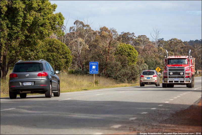 Ну и еще одна крутая фишка австралийских дорог, правда не относящаяся к дорожника - бесплатный кофе на заправках для водителей, которые заправили полный бак.
