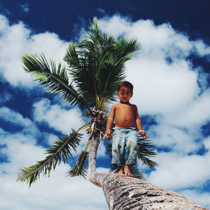 Мальчик на пальме 