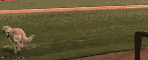 Гифки-разные темы