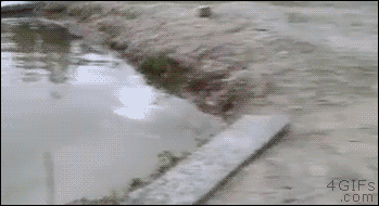 Гифки-разные темы