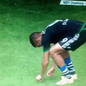 Когда твой друг боится насекомых