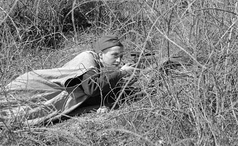 6 июня 1942 года, Людмила Павличенко в боях за Севастополь
