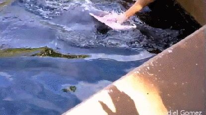 Решил поиграть с планшетом