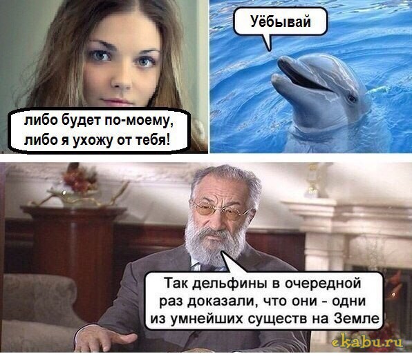 Комментарии из соцсетей и другие приколы