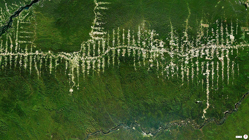 Вырубка тропических лесов Амазонки, Пара, Бразилия.