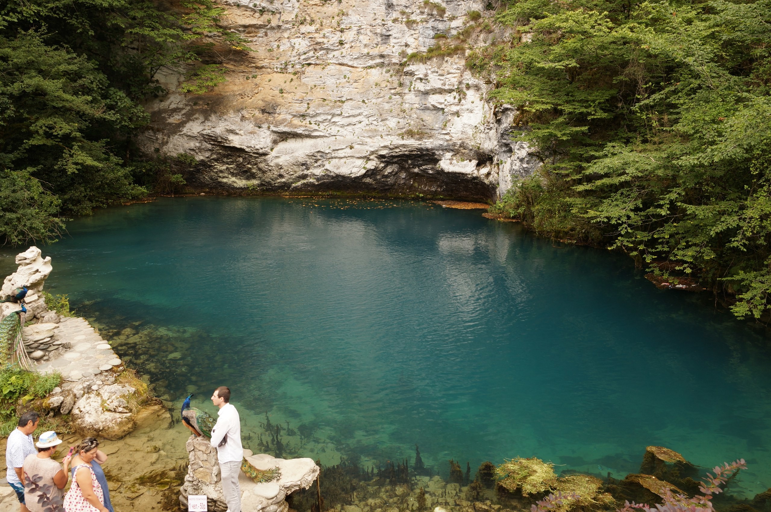 Голубые абхазии. Голубое озеро Рица Абхазия. Абхазия голубое озеро Рицца. Голубое озеро Абхазия глубина. Голубое озеро Абхазия Юпшарский каньон.