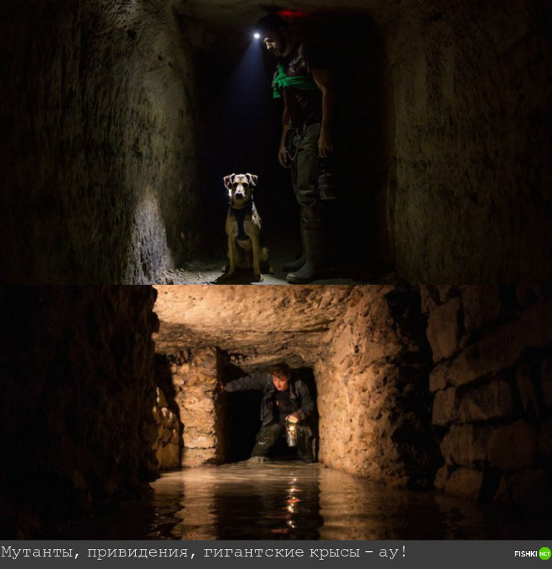 Диггеры и катафилы (любители катакомб) - хранители этих подземелий