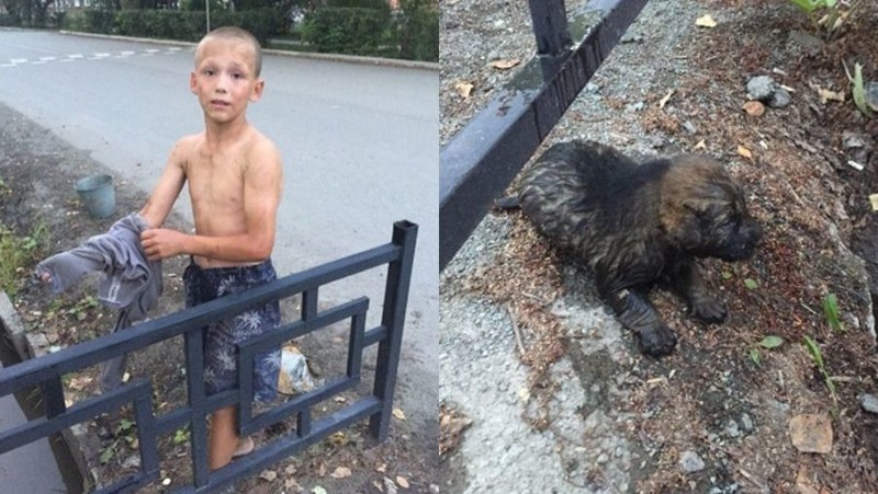 В Ревде 12-летний мальчик спас щенка, едва не утонувшего в сточной канаве