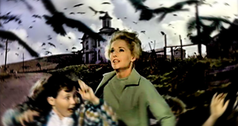 Птицы (The Birds). 1963 год