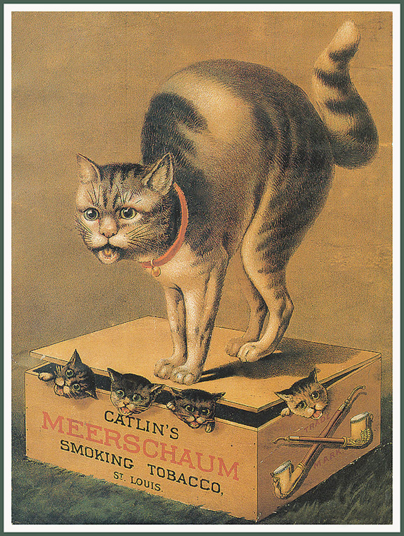 Старые открытки с кошками